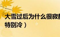 大雪过后为什么很寂静（大雪过后为什么觉得特别冷）