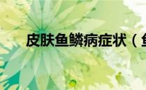 皮肤鱼鳞病症状（鱼鳞病的早期症状）