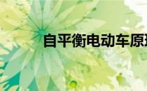 自平衡电动车原理 自平衡电动车