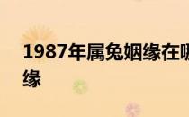 1987年属兔姻缘在哪年 1987年属兔的人姻缘