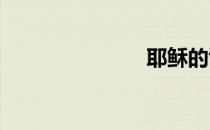 耶稣的诞生地