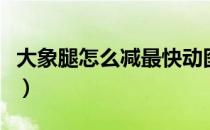 大象腿怎么减最快动图（大象腿怎么减最有效）