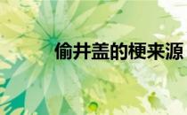 偷井盖的梗来源 偷井盖是什么梗