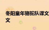 冬阳童年骆驼队课文朗读 冬阳童年骆驼队课文