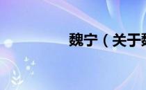魏宁（关于魏宁的介绍）