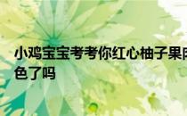 小鸡宝宝考考你红心柚子果肉颜色不均匀，是因为被打针染色了吗