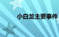 小白龙主要事件 小白龙事件炒作