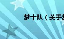 梦十队（关于梦十队的介绍）