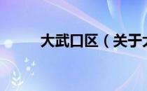 大武口区（关于大武口区的介绍）