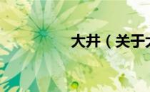 大井（关于大井的介绍）