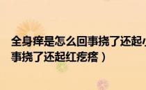 全身痒是怎么回事挠了还起小疙瘩会传染（全身痒是怎么回事挠了还起红疙瘩）