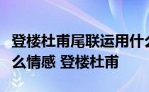 登楼杜甫尾联运用什么表现手法表达了诗人什么情感 登楼杜甫