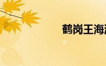 鹤岗王海滨 王鹤滨