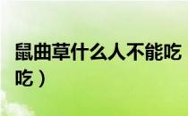 鼠曲草什么人不能吃（鼠曲草为什么孕妇不能吃）