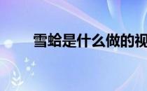 雪蛤是什么做的视频（雪蛤是什么）
