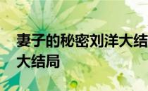 妻子的秘密刘洋大结局视频 妻子的秘密刘洋大结局