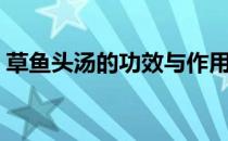 草鱼头汤的功效与作用（草鱼头和什么炖汤）