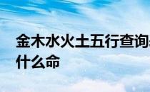 金木水火土五行查询表大全1993年出生的是什么命