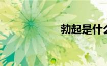 勃起是什么样子的？