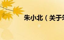 朱小北（关于朱小北的介绍）
