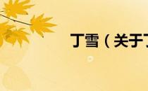 丁雪（关于丁雪的介绍）