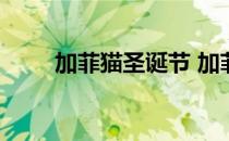加菲猫圣诞节 加菲猫的万圣节冒险