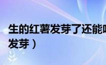 生的红薯发芽了还能吃吗（红薯怎么保存不会发芽）