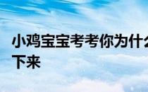 小鸡宝宝考考你为什么很多人一嗑瓜子就停不下来