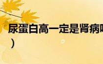 尿蛋白高一定是肾病吗（尿蛋白高有什么危害）
