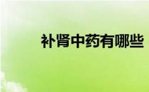 补肾中药有哪些（你该如何选择）