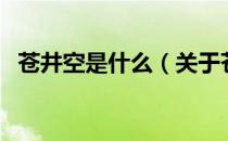 苍井空是什么（关于苍井空是什么的介绍）