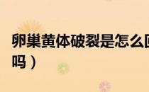 卵巢黄体破裂是怎么回事（卵巢黄体破裂严重吗）