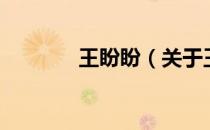 王盼盼（关于王盼盼的介绍）