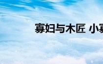 寡妇与木匠 小寡妇与铁匠小说
