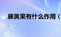 藤黄果有什么作用（藤黄果有什么禁忌）