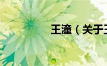 王潼（关于王潼的介绍）