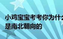 小鸡宝宝考考你为什么正规的运动场，一般都是南北朝向的