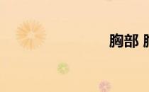 胸部 胸部图