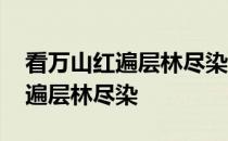 看万山红遍层林尽染表达什么感情 看万山红遍层林尽染