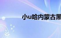 小u哈内蒙古黑怕 内蒙古黑怕