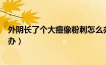 外阴长了个大痘像粉刺怎么办（外阴长了个大痘像粉刺怎么办）