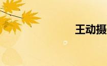 王动摄影原图