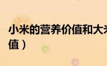 小米的营养价值和大米哪个高（小米的营养价值）
