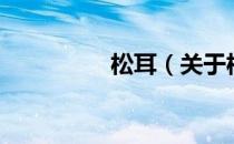 松耳（关于松耳的介绍）