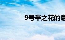 9号半之花的意义 9号半之花