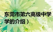 东莞市第六高级中学（关于东莞市第六高级中学的介绍）