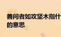 善问者如攻坚木指什么动物 善问者如攻坚木的意思