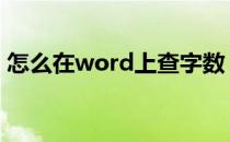 怎么在word上查字数 在word中怎么查字数