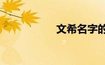 文希名字的寓意 文希