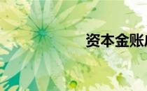 资本金账户 资本金